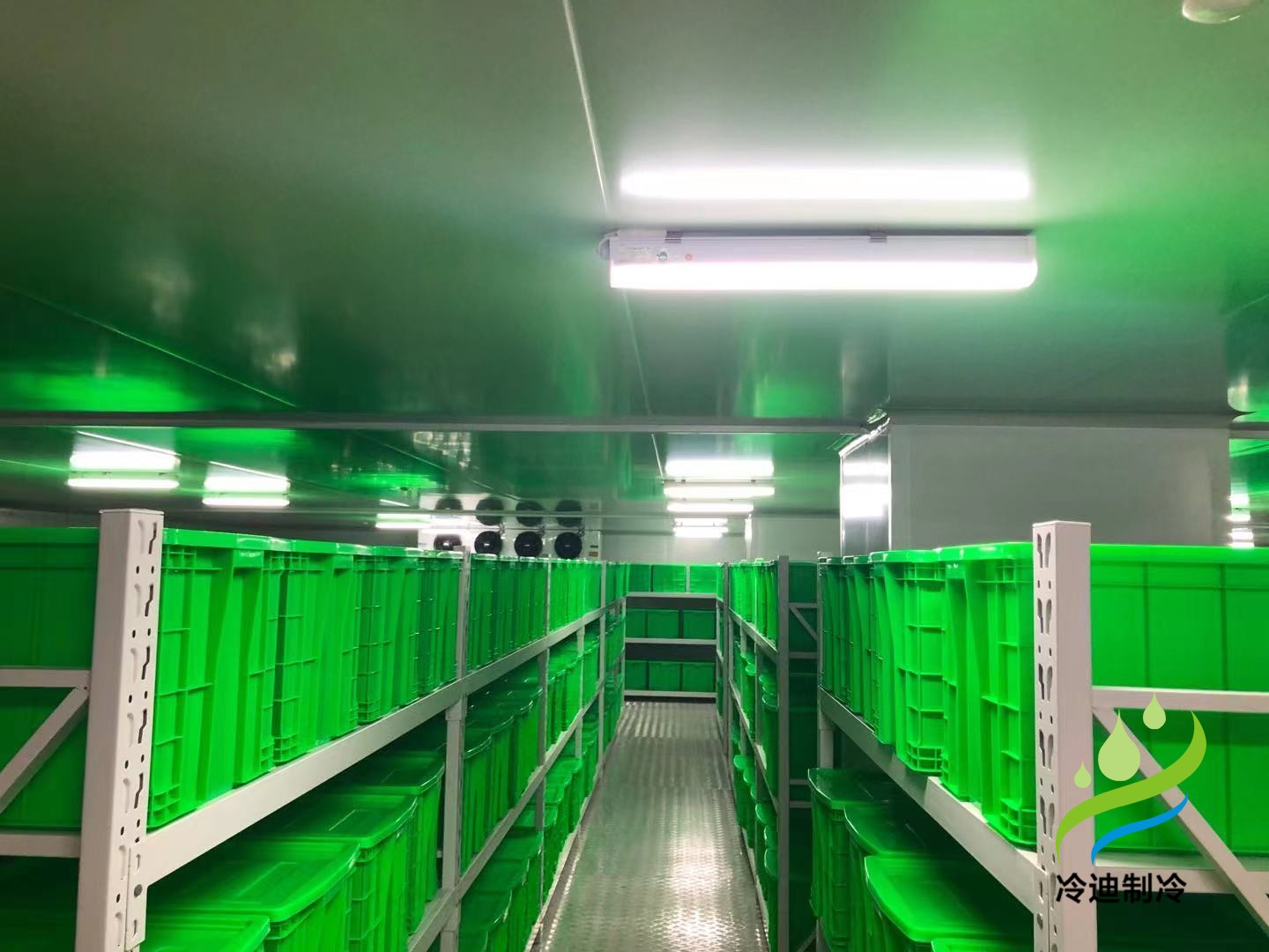 上海兆维生物大型医药冷冻库及2-8℃药品冷库安装建造工程