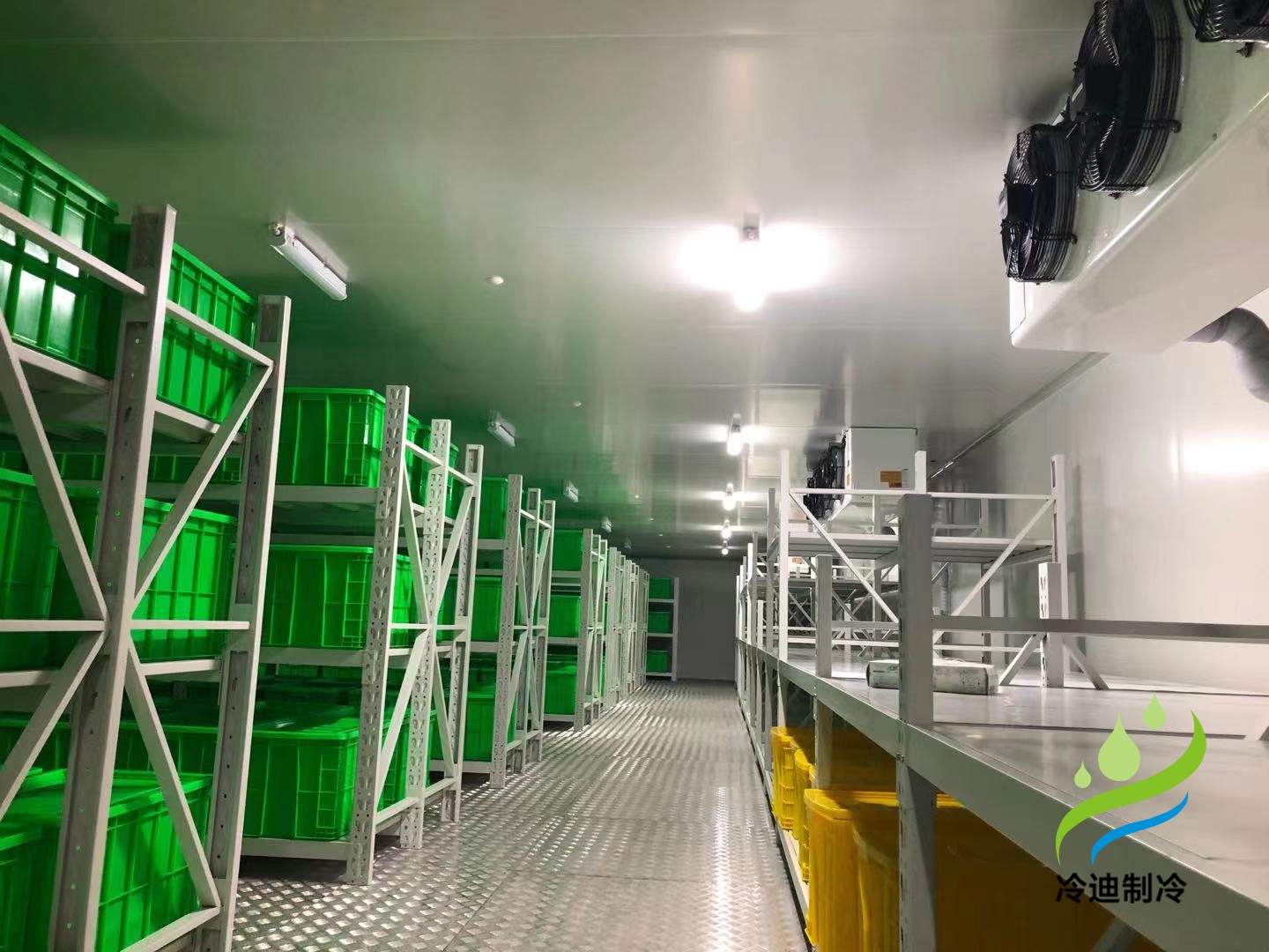 上海兆维生物大型医药冷冻库及2-8℃药品冷库安装建造工程