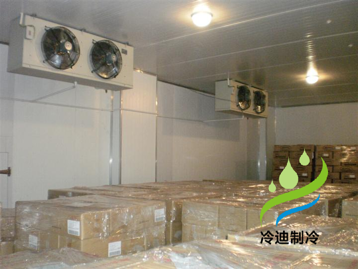上海大型蔬菜物流保鲜冷库安装工程