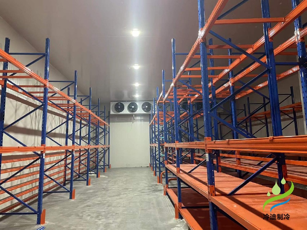 上海一万平农产品蔬菜食品保鲜冷藏库安装建造成本