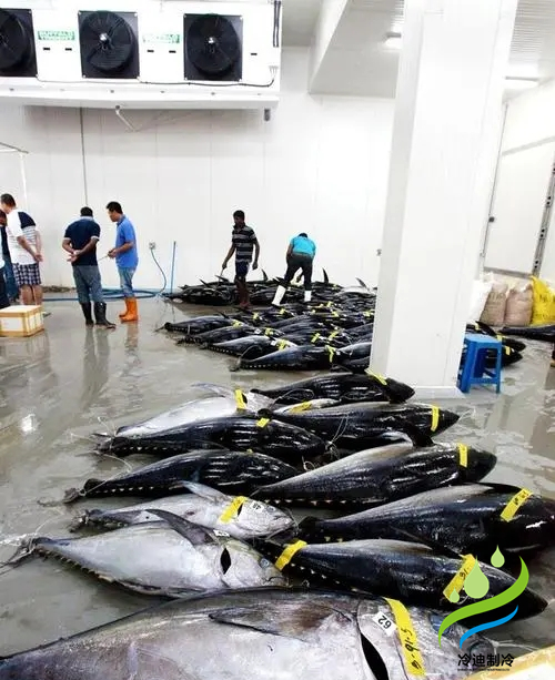 海鲜金枪鱼超低温冷库