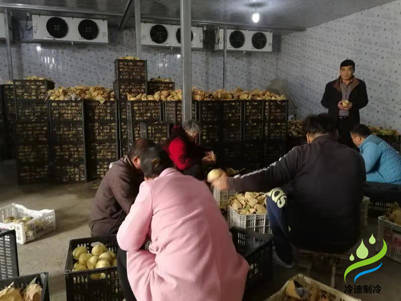 桃子保鲜冷库