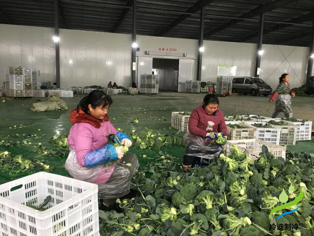 3000果蔬保鲜冷库造价