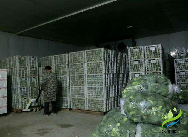 3000果蔬保鲜冷库造价