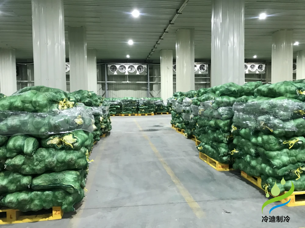 建造500吨蔬菜冷库需要多大面积，造价多少钱？   