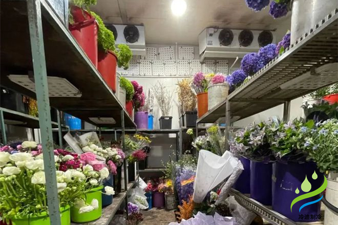 鲜花冷库