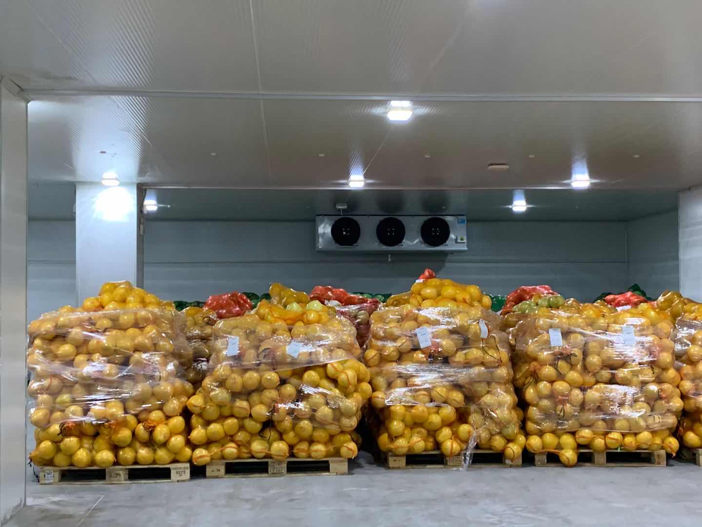 冷库