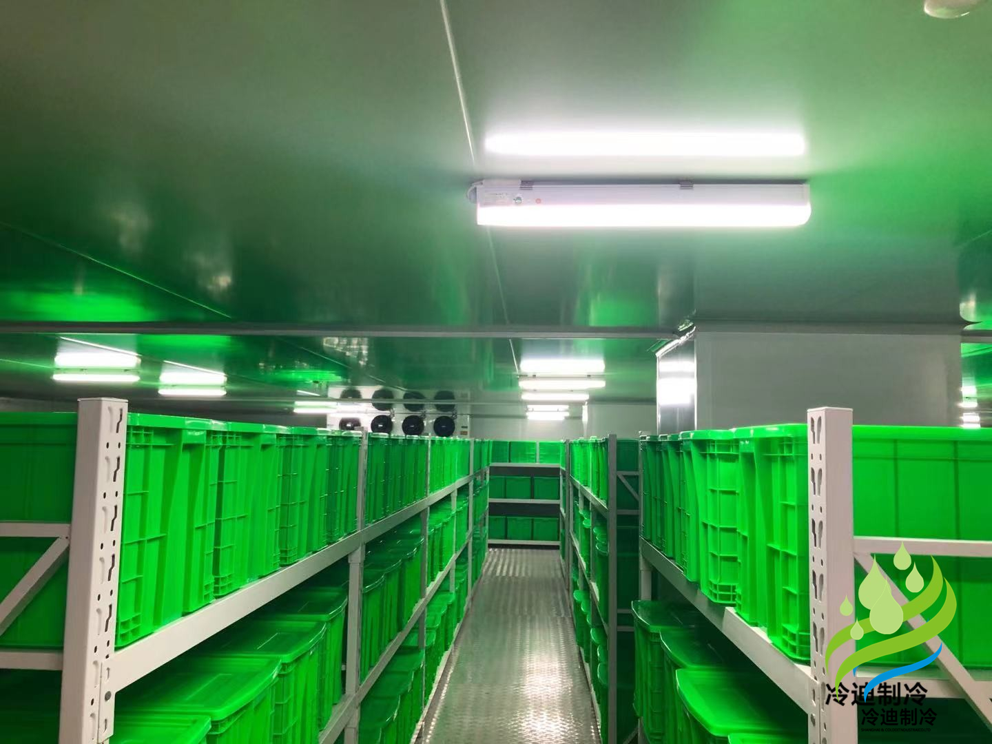 兆维生物医药冷库